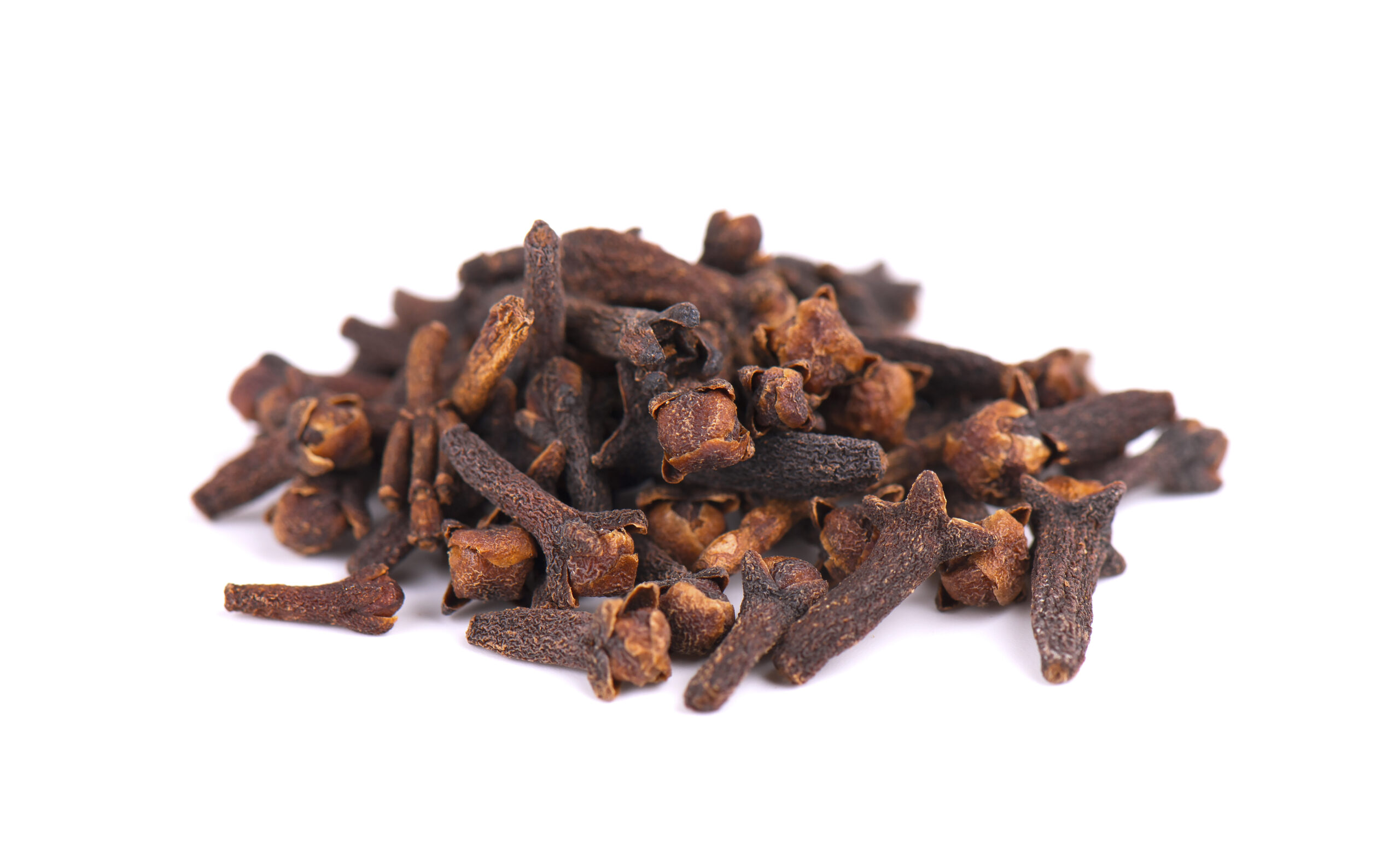 Dry clove isolated on white background. Fragrant spices.